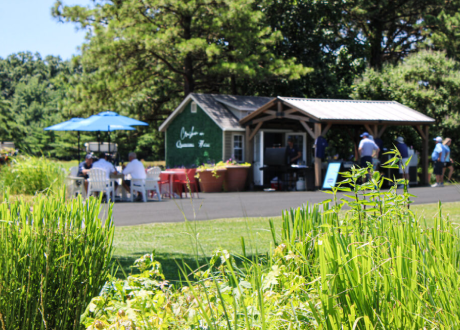 Hidden Eastern Shore Gems Only Locals Know