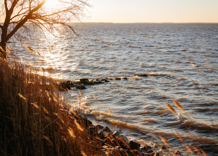 Planning a Destination Golf Trip to Maryland’s Eastern Shore